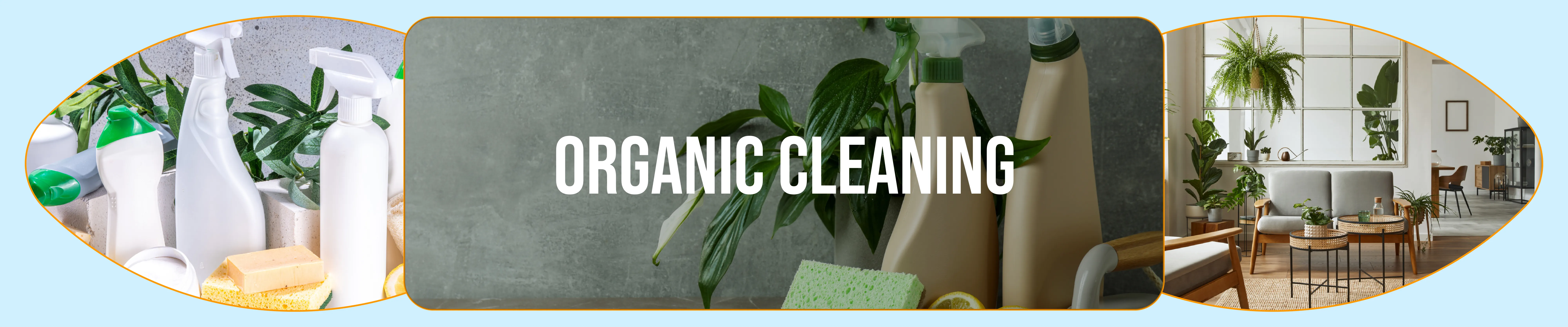 carpet cleaning in new york, carpet cleaning new york, carpet cleaners in new york, carpet cleaners in new york, commercial carpet cleaning, commercial carpet cleaning in new york, new york rug cleaners, rug cleaning services in new york, same day carpet cleaning, same day rug cleaning in new york