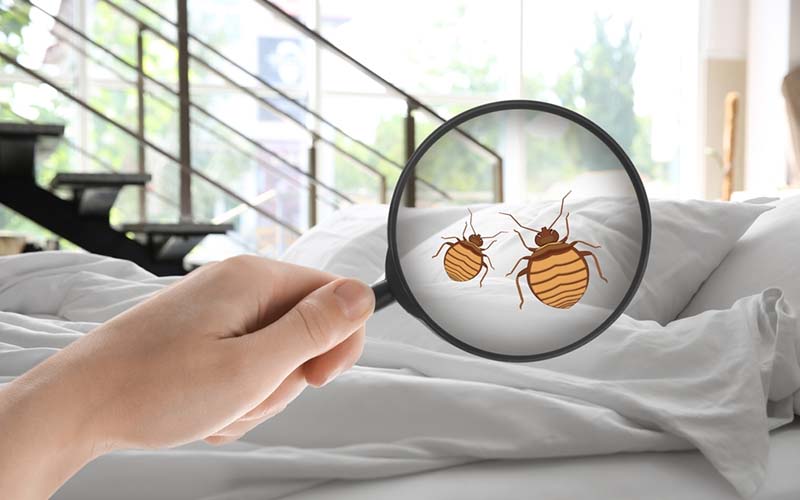 carpet cleaning in new york, carpet cleaning new york, carpet cleaners in new york, carpet cleaners in new york, commercial carpet cleaning, commercial carpet cleaning in new york, new york rug cleaners, rug cleaning services in new york, same day carpet cleaning, same day rug cleaning in new york