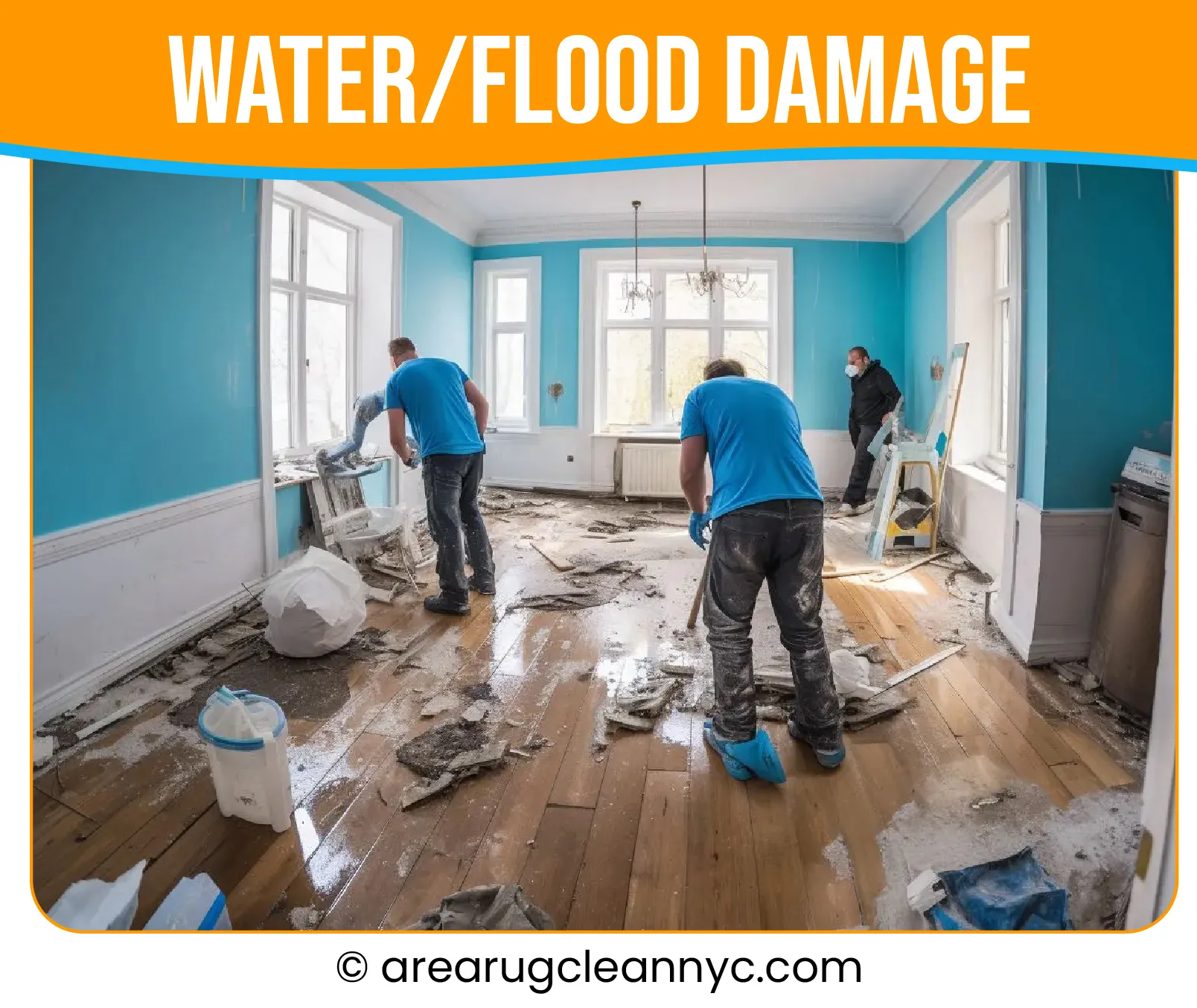 carpet cleaning in new york, carpet cleaning new york, carpet cleaners in new york, carpet cleaners in new york, commercial carpet cleaning, commercial carpet cleaning in new york, new york rug cleaners, rug cleaning services in new york, same day carpet cleaning, same day rug cleaning in new york